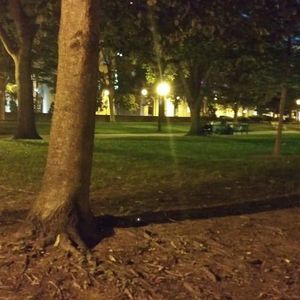 Meet your Posher, Max